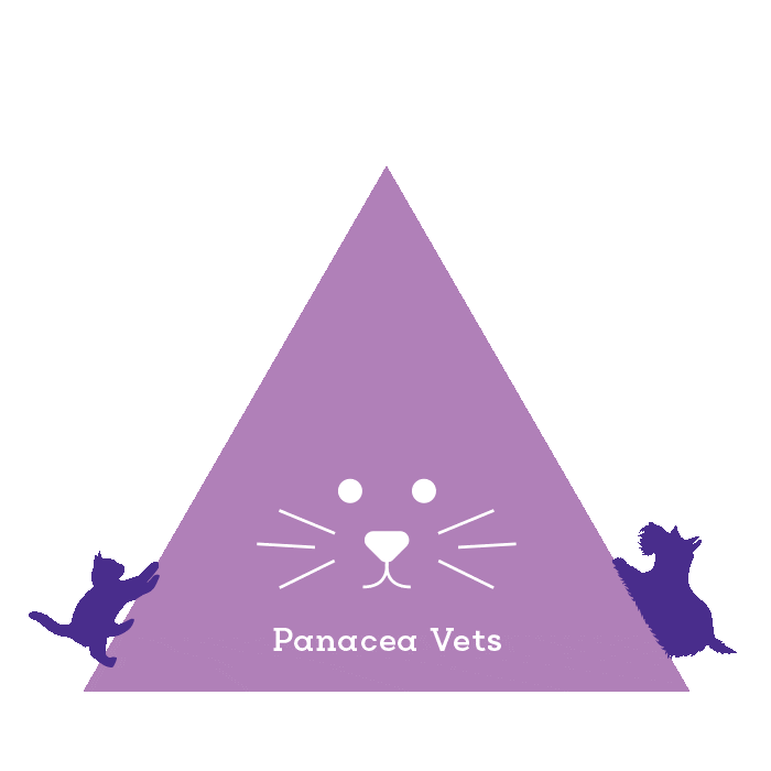 Panacea Vets Sticker