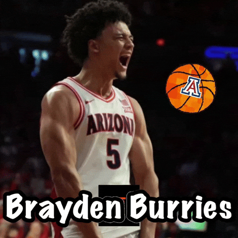 Arizona Basketball GIF