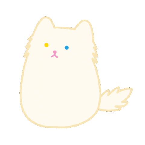 Share 65 anime white cat gif best  incdgdbentre