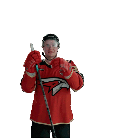 Goal Hockey Sticker by Avangard