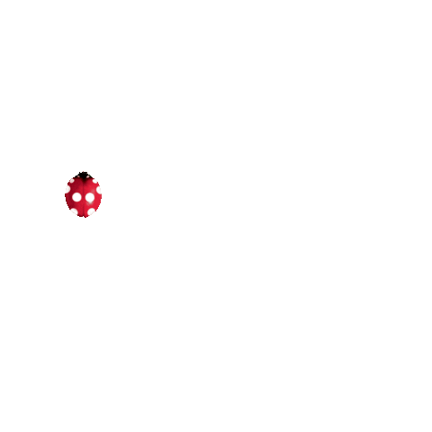 E.Leclerc Paridis Sticker