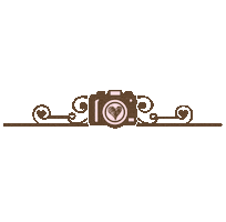 Camera Fotografia Sticker by amofotolivro