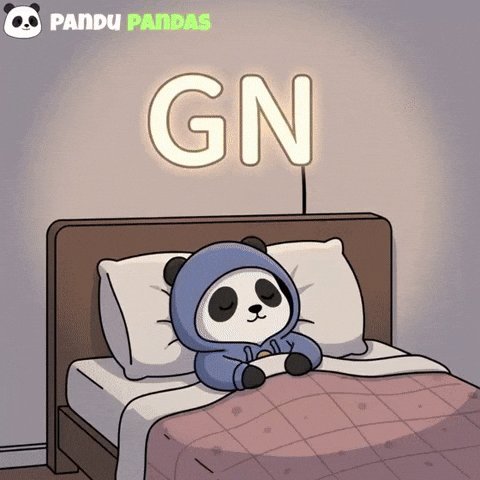 Night Time Sleep GIF by Pandu Pandas