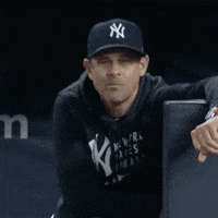 New-york-yankee-fans GIFs - Get the best GIF on GIPHY