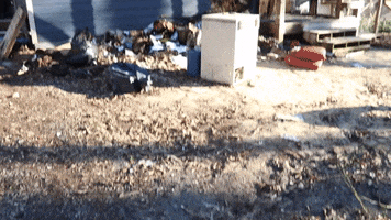 Dirt Work Fire Damage GIF by JC Property Professionals