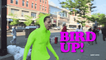 eric andre bird up GIF