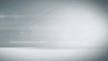 GIF by Dogs Supreme