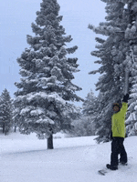 don smith snowboarding GIF by Justin
