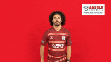 Republicfc Sacrepublic GIF by Sacramento Republic FC