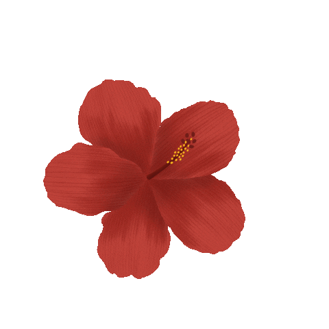 Hibiscus Sticker