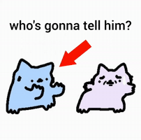 Spainnubcat GIF
