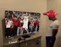 Arkansas Razorbacks Basketball GIF
