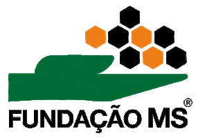 Fundação MS Sticker
