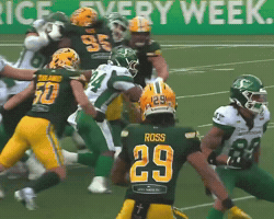 Cfl Reverse GIF