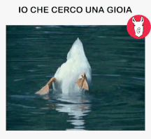 Mai Una Gioia Lamalista GIF