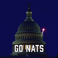 Washington Nationals Sport GIF by Sealed With A GIF