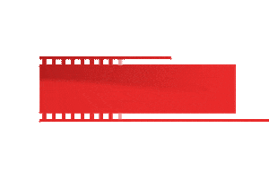 FDCP Sticker