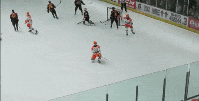 Ice Hockey Win GIF
