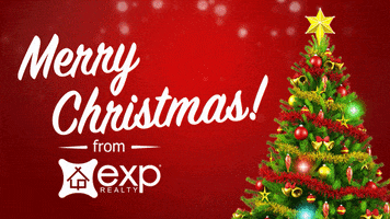 Merry Christmas Exp GIF