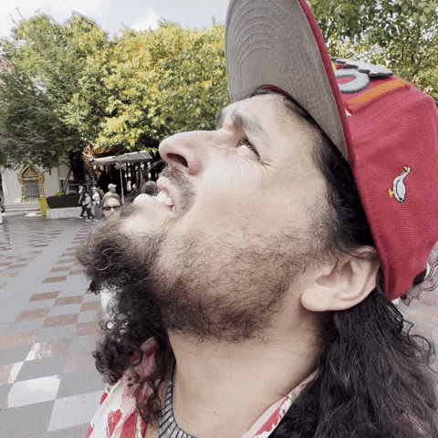 Wingman Wtf GIF by Goose