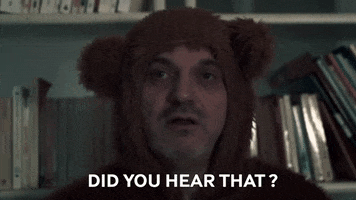 Bear Reaction GIF by Pixhunters