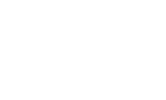 Erica Diaz Team Sticker