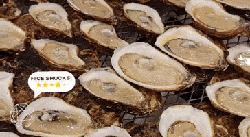 Oysters GIF by Oyster Master Guild