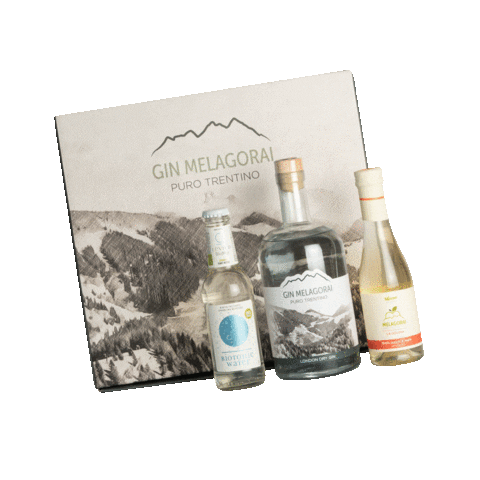 Ginmelagorai Sticker by Succo Melagorai