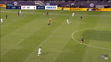 Animated GIF