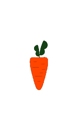 Vegan Carrot Sticker by What About Food