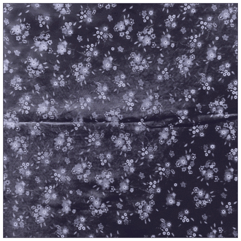 Shrinking Violet GIF by Catie Turner