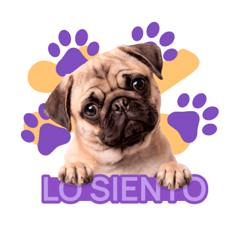 Sorry Pug Sticker by HICC Pet México