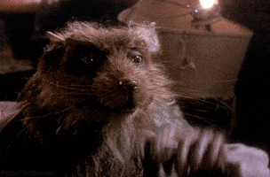 TV gif. Splinter, a rat, from the live-action Teenage Mutant Ninja Turtles puts his furry paw to his head, closes his eyes and shakes his head.