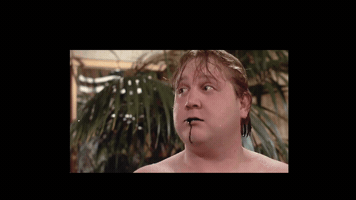 GIF by Harmon's Non-Alc Craft Beer