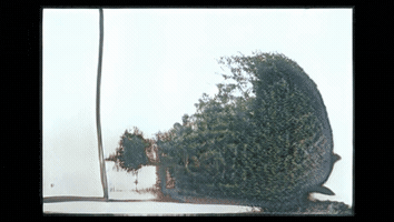 Harvard Gsd GIF