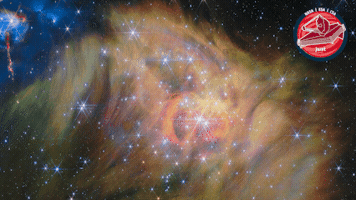 James Webb Stars GIF by ESA Webb Space Telescope