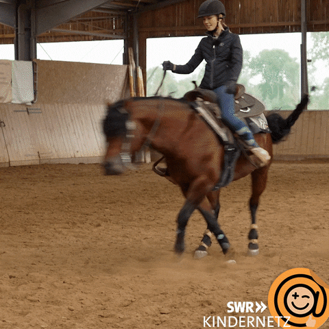Horse Spin GIF by SWR Kindernetz