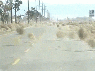 No One Tumbleweed GIF - No One Tumbleweed GIF