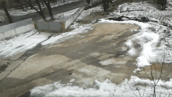 tank deal with it GIF