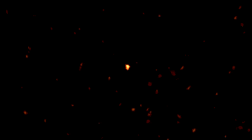GIF by BT Digital
