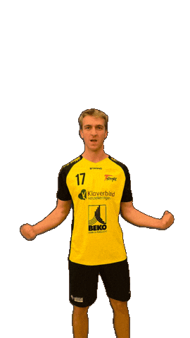 Korfbal Sticker by Korfbalvereniging Tempo