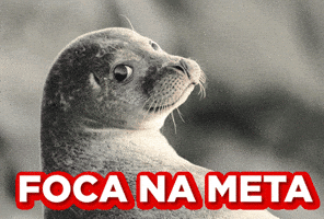 Vamos Seminovos GIF