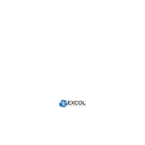 Centro Studi Excol Sticker