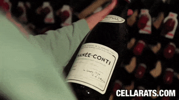 Cellar Rats by Itasca Films GIF