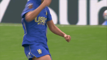 Chelsea Fc Cele GIF