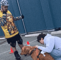 Fall Falling GIF by aldo2swag