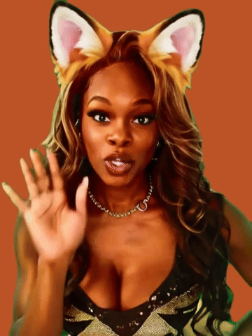 Foxxe Banner