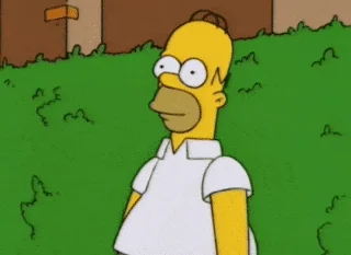 giphy.webp