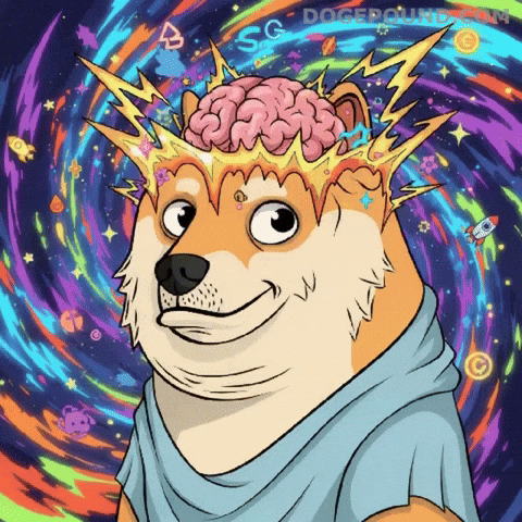 Big Brain Wow GIF by Doge Pound