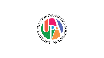 Upa Sticker by upafoundation